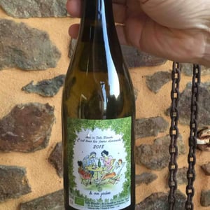Les Vins Jardinés - Yoann Gillot - C'est tous les jours dimanche