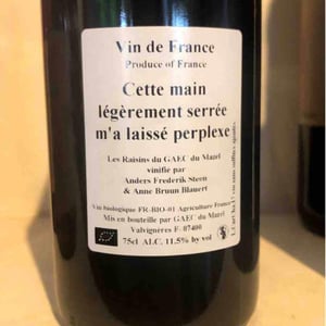 Cette main légèrement serrée m'a laissé perplexe - Anders Frederik Steen & Anne Bruun Blauert - Anders Frederik Steen & Anne Bruun Blauert 