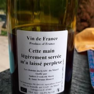 Cette main légèrement serrée m'a laissé perplexe - Anders Frederik Steen & Anne Bruun Blauert - Anders Frederik Steen & Anne Bruun Blauert 
