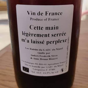 Cette main légèrement serrée m'a laissé perplexe - Anders Frederik Steen & Anne Bruun Blauert - Anders Frederik Steen & Anne Bruun Blauert 