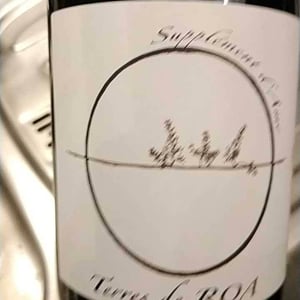 Supplément d'Âme - Vignoble des Vernusses - Loren PETIT -2022