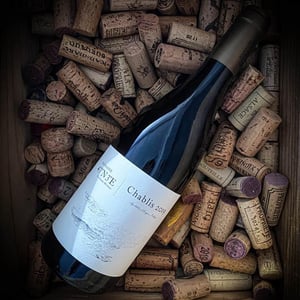 Chablis - Domaine 47°N3°E - Guillaume Michaut -2019