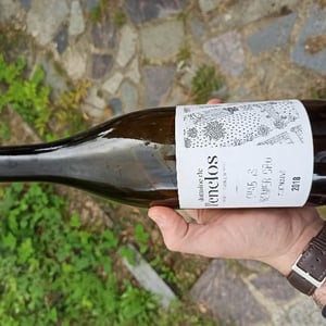 Chablis Premier Cru Montmains - Domaine De L’enclos - romain-damien-bouchard