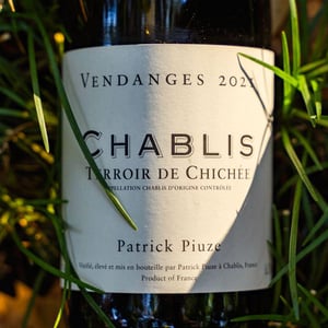 Chablis Terroir de Chichée - Patrick Piuze - patrick-piuze -2021