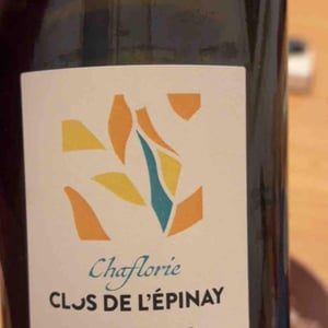Chaflorie Pétillant - Domaine Clos de l’Epinay - antoine-labrosse-et-henri-bruneau -2023
