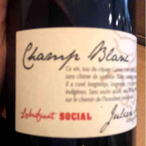 Julien Merle - Julien Merle - Champ Blanc