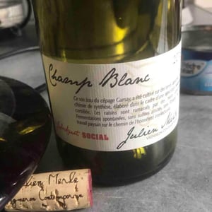 Julien Merle - Julien Merle - Champ Blanc