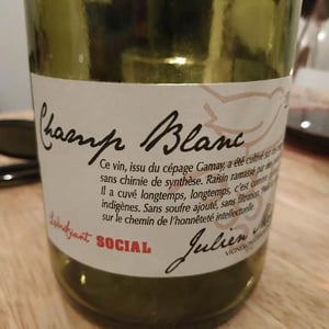 Julien Merle - Julien Merle - Champ Blanc