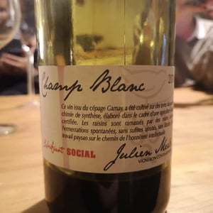 Julien Merle - Julien Merle - Champ Blanc