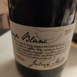 Julien Merle - Julien Merle - Champ Blanc