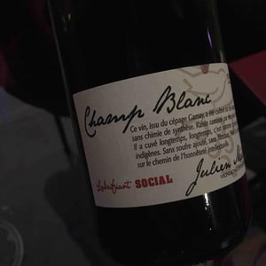 Champ Blanc - Julien Merle - Julien Merle 