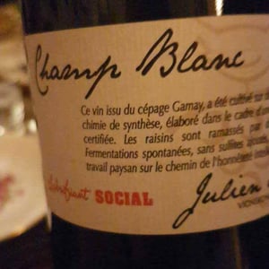 Julien Merle - Julien Merle - Champ Blanc