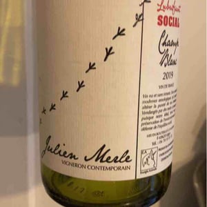 Julien Merle - Julien Merle - Champ Blanc