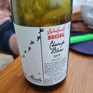 Champ Blanc - Julien Merle - Julien Merle 
