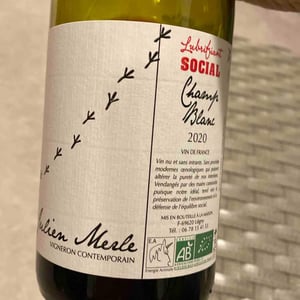Julien Merle - Julien Merle - Champ Blanc