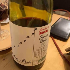Julien Merle - Julien Merle - Champ Blanc