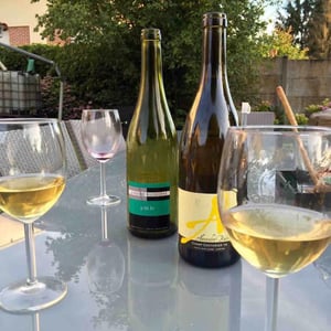 Domaine Alexandre Bain - Alexandre Bain - Champ Couturier