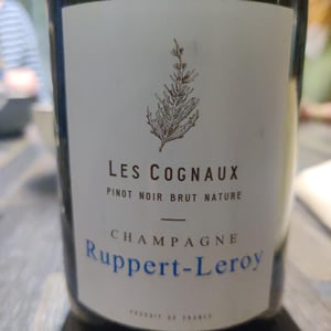 Les Cognaux - Champagne Ruppert-Leroy - emmanuel-ruppert-benedicte-leroy
