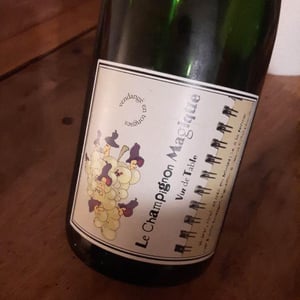 Champignon Magique - Pierre Beauger - Pierre Beauger 