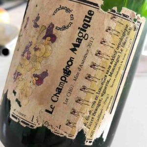 Champignon Magique - Pierre Beauger - pierre-beauger