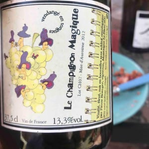 Champignon Magique - Pierre Beauger - pierre-beauger
