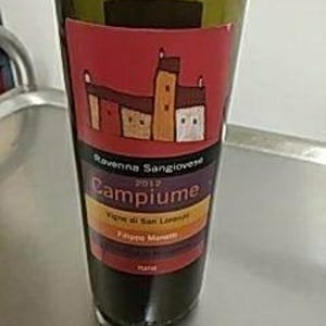 Campiume - Vigne di San Lorenzo - Filippo Manetti 