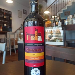 Campiume - Vigne di San Lorenzo - filippo-manetti