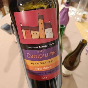 Campiume - Vigne di San Lorenzo - Filippo Manetti 