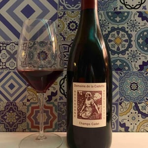 Domaine de La Soeur Cadette - Jean & Valentin Montanet - Champs Cadet