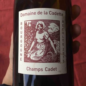 Domaine de La Soeur Cadette - Jean & Valentin Montanet - Champs Cadet