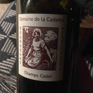 Domaine de La Soeur Cadette - Jean & Valentin Montanet - Champs Cadet