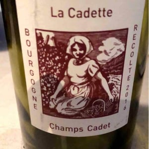 Champs Cadet - Domaine de La Soeur Cadette - Jean & Valentin Montanet 