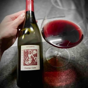 Domaine de La Soeur Cadette - Jean & Valentin Montanet - Champs Cadet