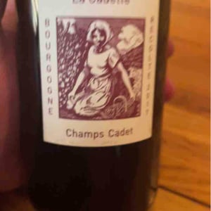 Champs Cadet - Domaine de La Soeur Cadette - Jean & Valentin Montanet 
