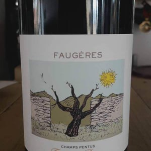 Champs Pentus - Domaine Fréderic Brouca - frederic-brouca