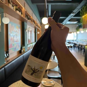 Champs Pentus - Domaine Fréderic Brouca - frederic-brouca