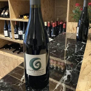 Champsaurel - Maxime-François Laurent - maxime-francois-laurent -2019