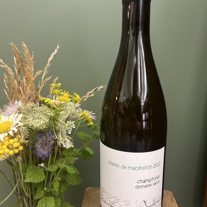 Champtoisé - Domaine Serol - stephane-et-carine-serol -2022