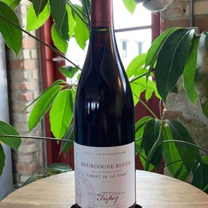 Chant de la Tour - Domaine Tripoz - celine-laurent-tripoz