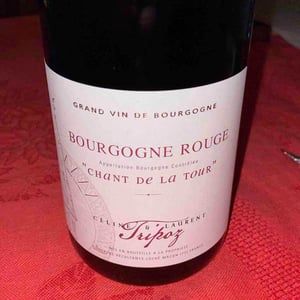 Domaine Tripoz - Céline & Laurent Tripoz - Chant de la Tour