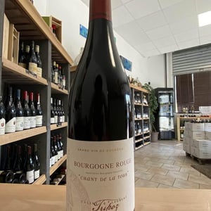 Chant de la Tour - Domaine Tripoz - celine-laurent-tripoz