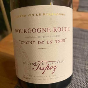 Chant de la Tour - Domaine Tripoz - Céline & Laurent Tripoz 