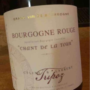 Chant de la Tour - Domaine Tripoz - Céline & Laurent Tripoz 