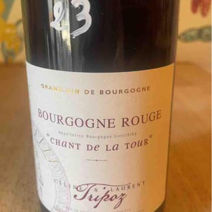 Chant de la Tour - Domaine Tripoz - celine-laurent-tripoz