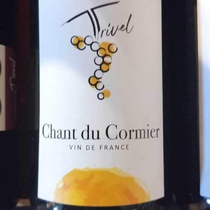 Chant Du Cormier - Domaine de Trivel - sidonie-joggerst-thomas-guillon