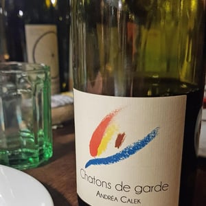 Chantons de Garde - Andrea Calek - andrea-calek-et-stephana-nicolescu