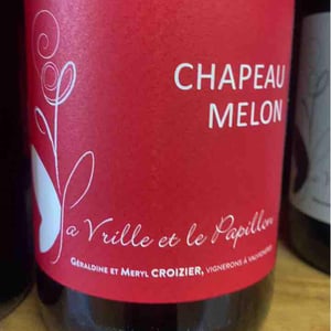 Chapeau Melon - La Vrille et le Papillon - geraldine-meryl-croizier