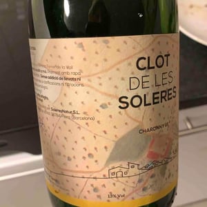Clot de les Soleres - Montse i Carles Mora Ferrer - Chardonny