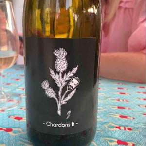 Chardons B - Domaine Delettre - Stéphane Delettre 