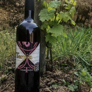 Chardonnay - Azienda Agricola Franco Terpin - Franco Terpin 